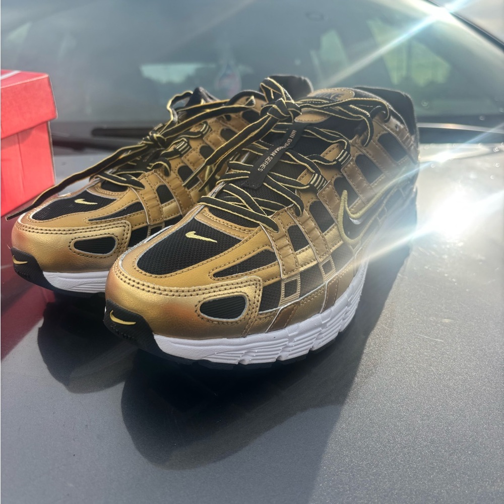 Nike P-6000